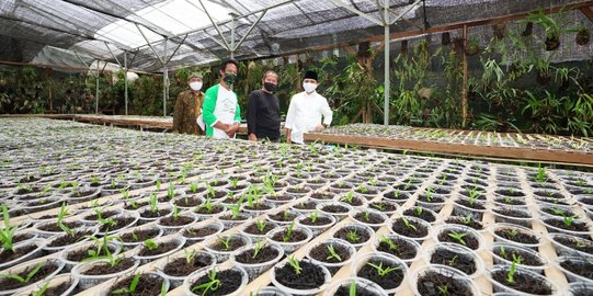 Inspiratif, Pengusaha Travel di Banyuwangi Banting Stir Buka Usaha Budidaya Anggrek