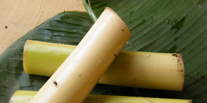 8 Benefits of Banana Trees for Health, One of which is to Treat Anemia