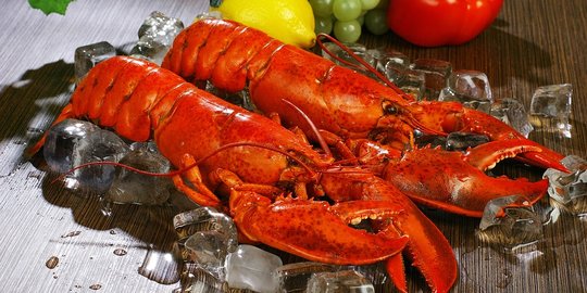 8 Resep Olahan Lobster Sederhana, Hidangan Sehat yang Menggugah Selera