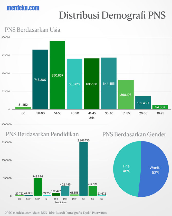 pns infografis