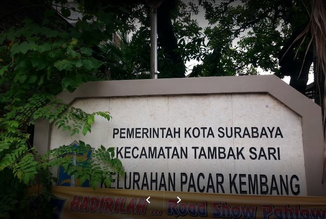 kelurahan pacar kembang kecamatan tambaksari kota surabaya