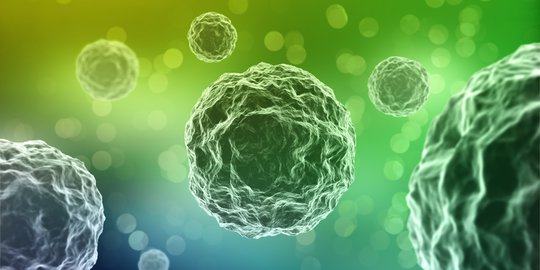 Mengenal Apa Itu Norovirus, Virus Baru di China yang Mirip dengan Covid-19