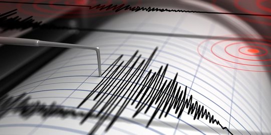Gempa Magnitudo 5,2 Guncang Pantai Barat Meulaboh Aceh