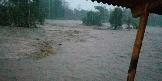 Ratusan Hektare Lahan Pertanian di Garut Gagal Panen Akibat Banjir