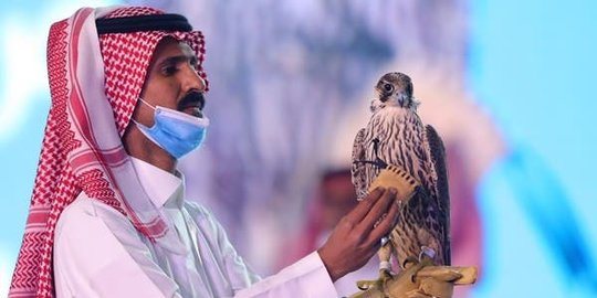 Rekor, Burung Falcon Terjual Seharga Rp 2,5 Miliar di Saudi