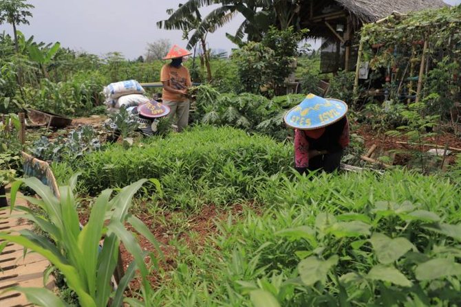 lumbung pangan murah di kwt gemas implan