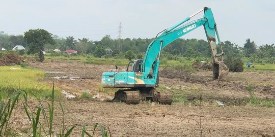 Sawah Rawa Seluas 40 Hektare di Palembang Disulap Jadi Kantor Gubernur Sumsel