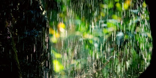 BMKG Minta Warga Waspada Potensi Hujan Lebat Dampak Gelombang MJO Fase Awal La Nina