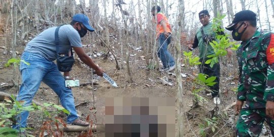 Mayat Tinggal Kerangka Ditemukan di Hutan Gunung Manggar Jember