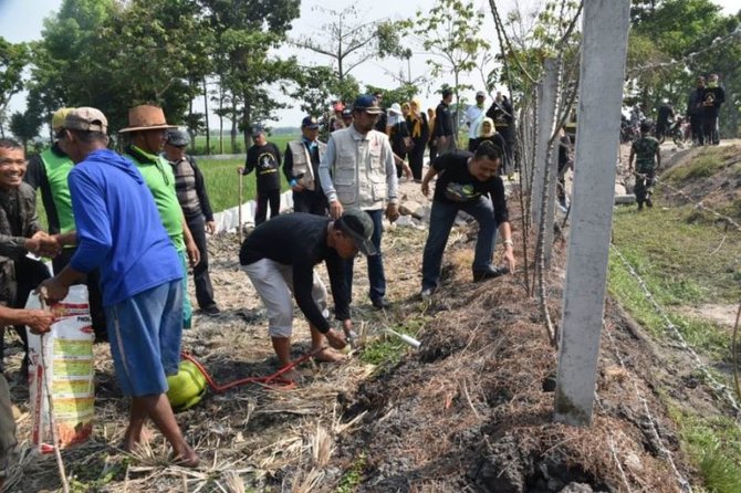 hama tikus di madiun