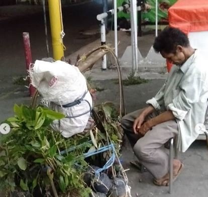 pak samidi penjual tanaman keliling