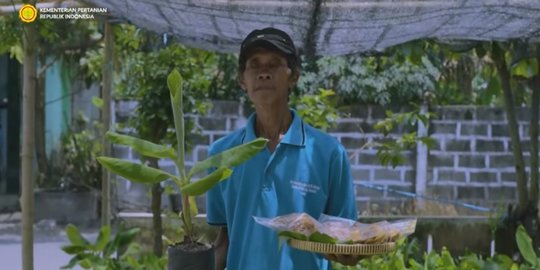 Viral Rahasia Sukses Bisnis dengan Pelihara Tuyul ala Mbah Lasiyo, Ini Penjelasannya