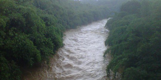 KemenPUPR Tagih Komitmen DKI Bebaskan Lahan Ciliwung untuk Normalisasi