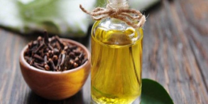 9 Benefits of Clove Oil for the Body, Overcome Mouth Problems to Help Treat Hair