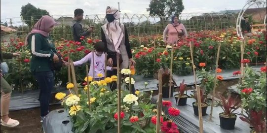 Mengintip Keindahan Taman Argalingga di Majalengka, Tawarkan Beragam Jenis Bunga
