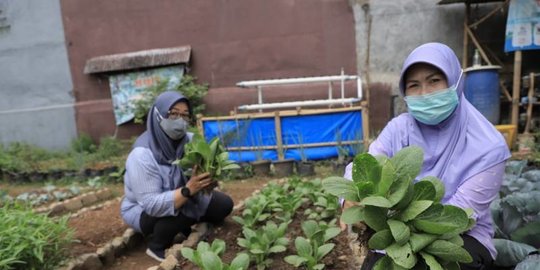 Mengenal Ketahanan Pangan, Pengertian, Konsep, Beserta Strateginya