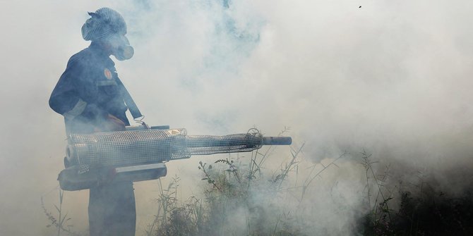 Waspadai Nyamuk Pembunuh Nomor  Satu  di  Dunia  merdeka com