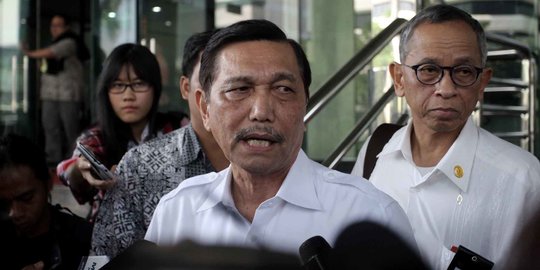 Luhut akan Lobi Eropa dan UEA Bantu Program Penanaman Mangrove