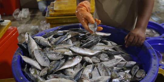 Derita 3 Nenek Buruh Pengolahan Ikan di Kendari Kena PHK tanpa Pesangon