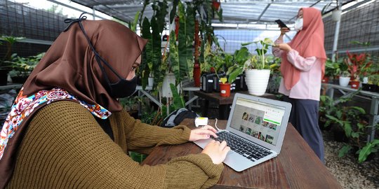 Penjualan Tanaman Hias Lewat Online Meningkat 100 Persen