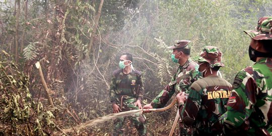 Luas Hutan dan Lahan Terbakar di Riau Turun 99,83 Persen Dibanding 2019