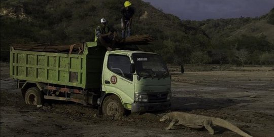 Jawaban KLHK soal Polemik Konservasi Pulau Komodo