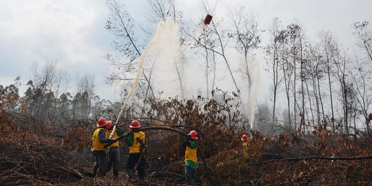 Pemprov Riau Cabut Status Siaga Darurat Karhutla