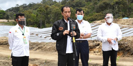 Jokowi Ingin Food Estate di Kalteng dan Sumut Jadi Contoh Wilayah Lain