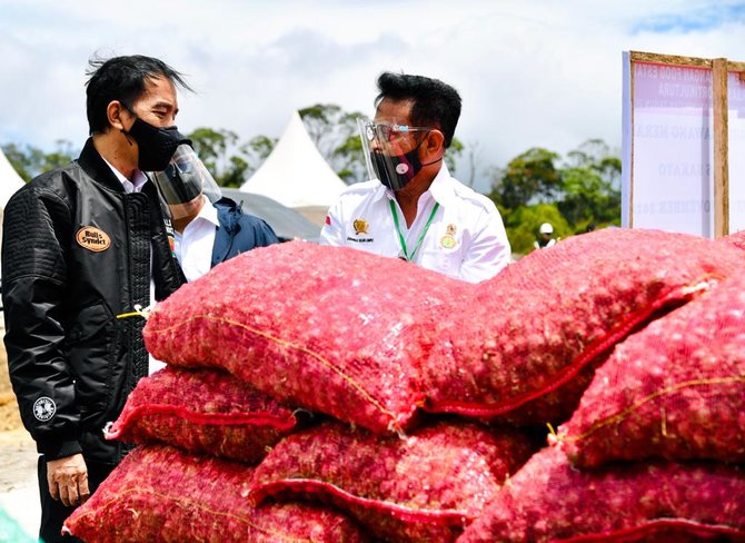 jokowi tinjau food estate di sumut
