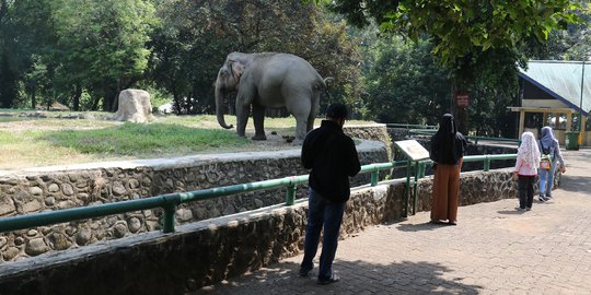 Hari Pertama Libur Panjang, Pengunjung Taman Margasatwa Ragunan Masih Sepi