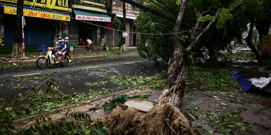 Pohon-Pohon Bertumbangan Usai Topan Molave Hantam Vietnam