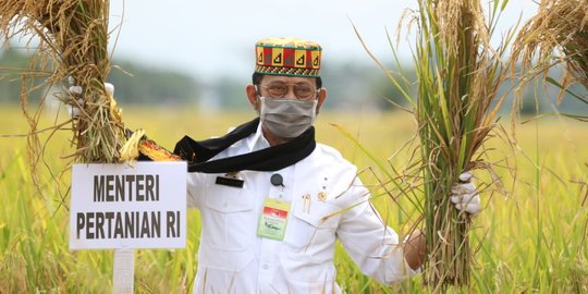 Stok Beras Melimpah, Mentan Sebut Hasil Kerja Keras Petani
