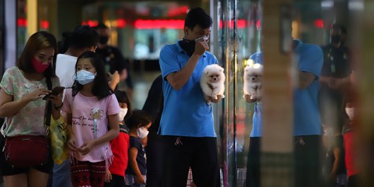 Usaha Pet Shop di Jakarta Masih Sepi Pelanggan