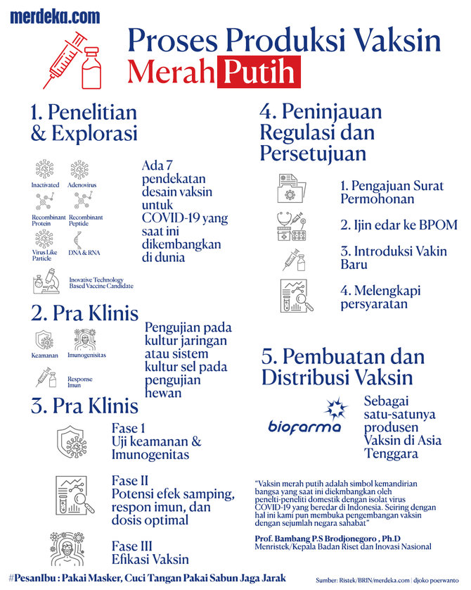 infografis vaksin merah putih