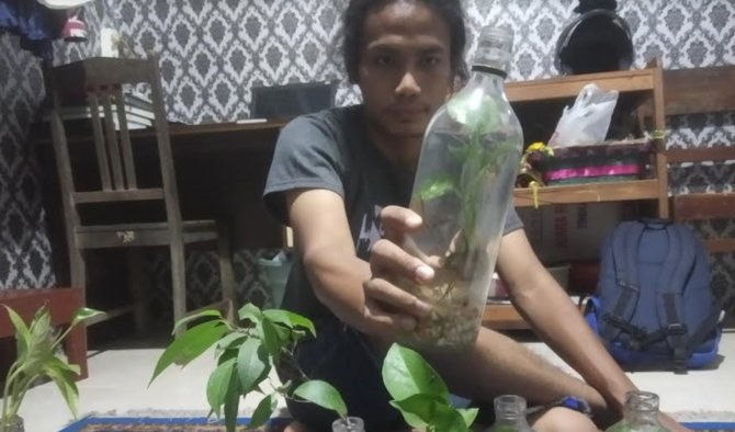 mahasiswa banyuwangi tekuni bonsai bambu dan tanaman dalam botol