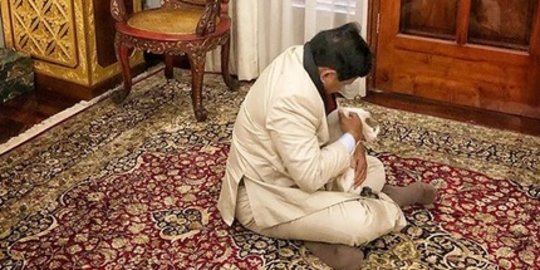 Cerita Prabowo dan Kucing Kesayangannya