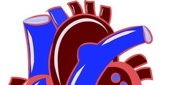 6 Penyebab Pembengkakan Jantung atau Kardiomegali, Ketahui Cara Mencegahnya