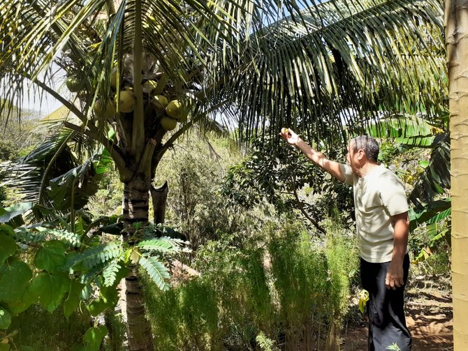 iskandar waworuntu pendiri bumi langit institut