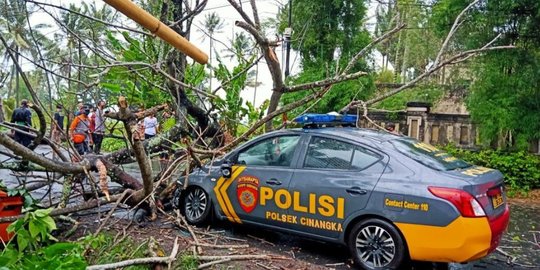 Angin Kencang di Jalan Anyer - Carita, Mobil Patroli Polisi Tertimpa Pohon Tumbang