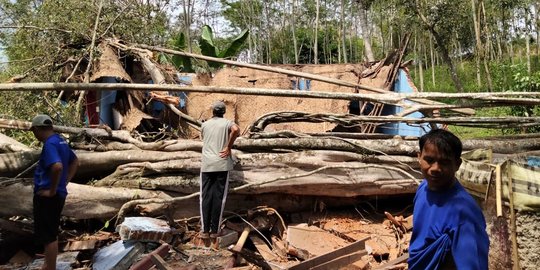 Pohon Beringin Berusia Ratusan Tahun di Garut Tumbang, Timpa Musala Hingga Hancur