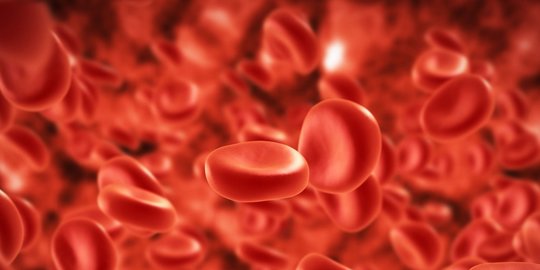 5 Cara Meningkatkan Hemoglobin dalam Darah, Ketahui Langkahnya