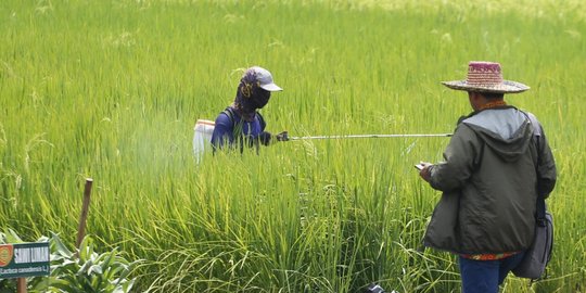 Dirut Pupuk Indonesia: Agro Solution Tingkatkan Kesejahteraan Petani