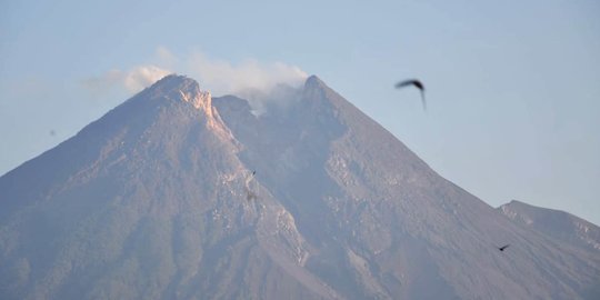 Status Merapi Siaga, Sultan HB X Minta Masyarakat Tidak Perlu Panik