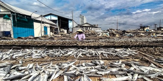 Nelayan Ikan Asin Terdampak Pandemi dan Musim Penghujan