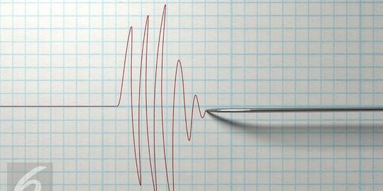 Tren Gempa Bumi Meningkat, Terjadi 11.500 Kasus di RI Sepanjang 2019