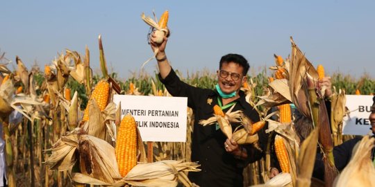 Mentan Syahrul Jamin Pasokan 11 Bahan Pokok Aman Tahun Ini