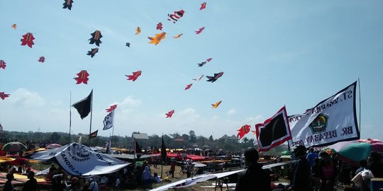 Layang-Layang 10 Meter Ganggu Jaringan SUTET di Ngawi, Pasokan Listrik Terganggu