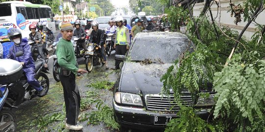 Korban Pohon Tumbang di Kota Bandung Dapat Asuransi Rp50 Juta, Begini Prosedurnya