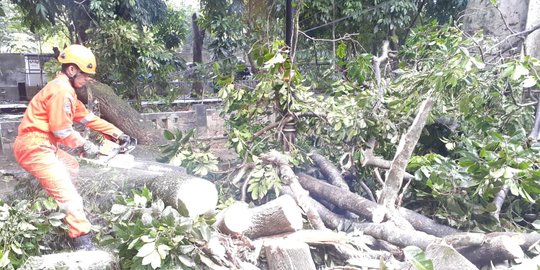 Rumah Rusak dan Pohon Bertumbangan Akibat Angin Kencan di Magelang