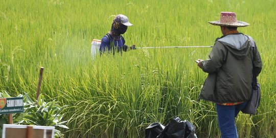 Data BPS: Upah Tani dan Buruh Bangunan Alami Penurunan di Oktober 2020